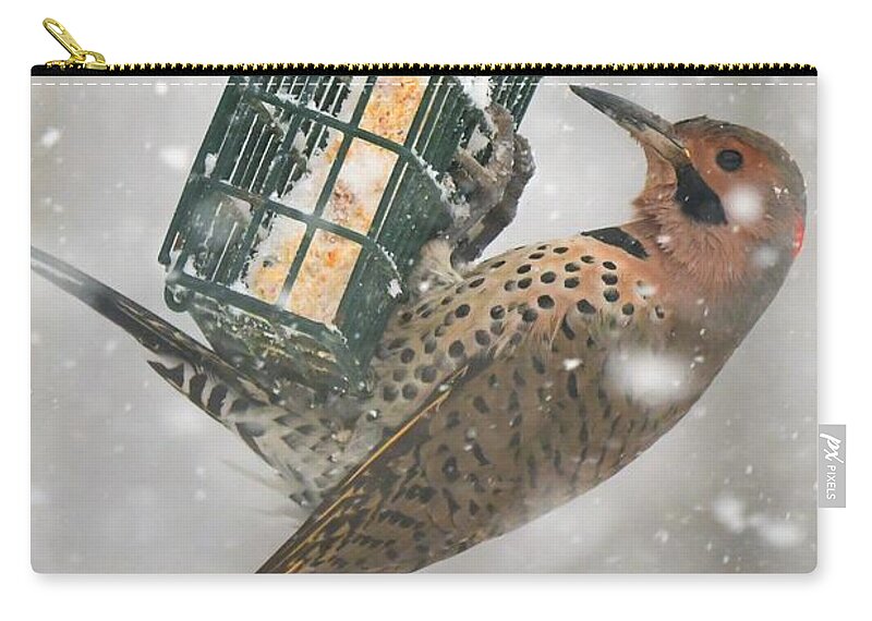 Bird Zip Pouch featuring the photograph Flicker by Lila Fisher-Wenzel
