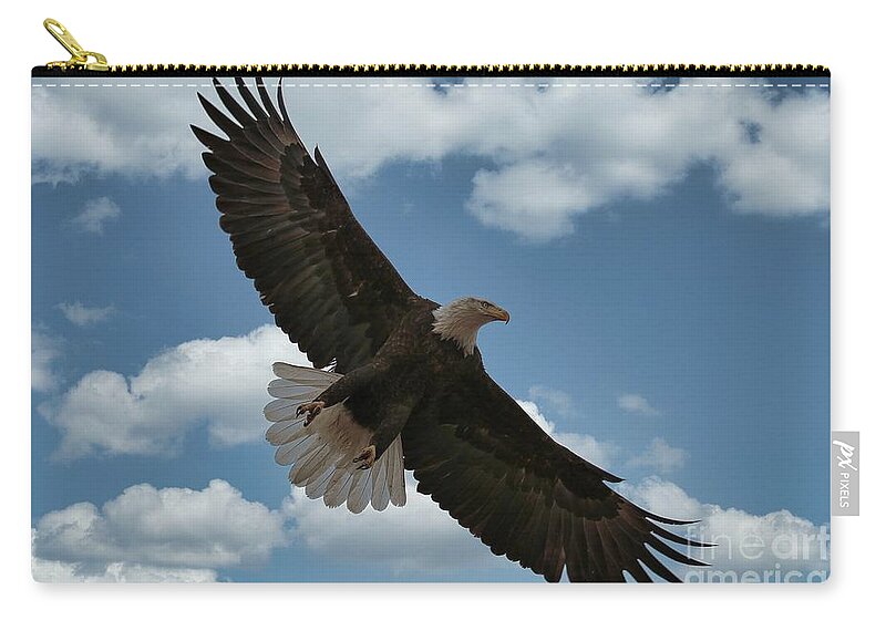 Eagle Zip Pouch featuring the photograph Flight by Veronica Batterson