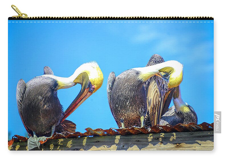 Pelicans Carry-all Pouch featuring the photograph Florida pelicans by Alison Belsan Horton