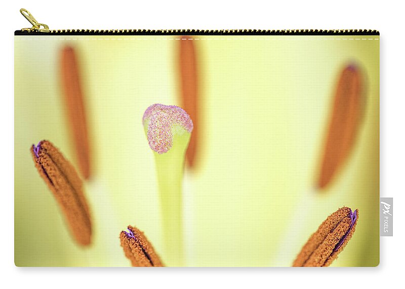 Flower Zip Pouch featuring the photograph Flower Close Up by Amelia Pearn