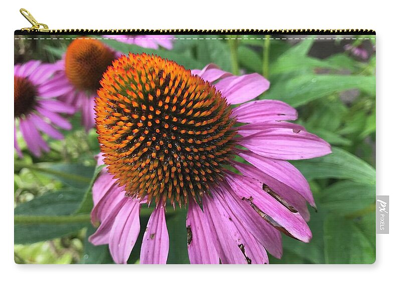 Flowers Zip Pouch featuring the photograph Flower Cones by Jean Wolfrum