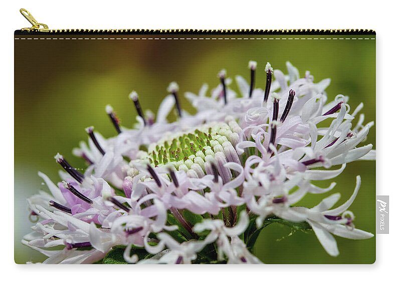 Flowers Zip Pouch featuring the photograph Flower in focus by Agnes Caruso