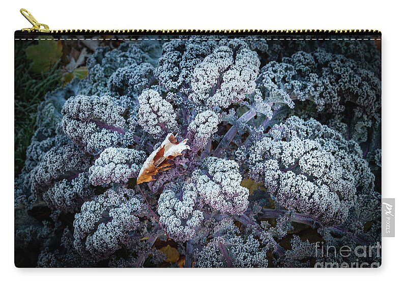Kale Zip Pouch featuring the photograph Flower of the Frost by Marilyn Cornwell