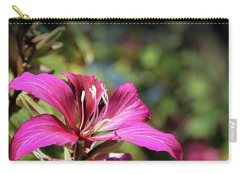 Old Town Zip Pouch featuring the photograph Flower on a Tree by Robert Carter