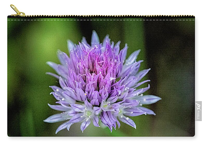 East Dover Vermont Zip Pouch featuring the photograph Flowering Chives by Tom Singleton