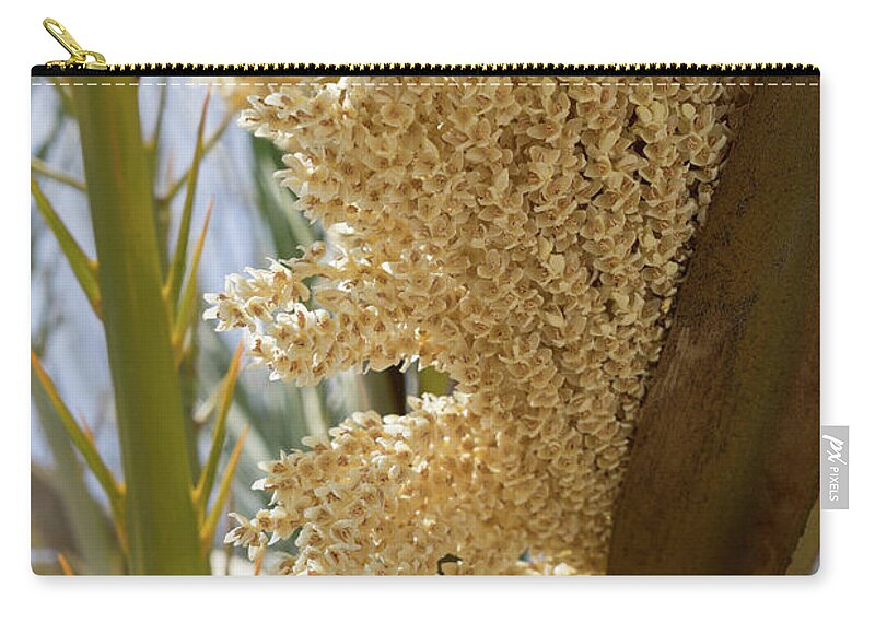 Date Palm Zip Pouch featuring the photograph Flowering date palm and sunlight by Adriana Mueller