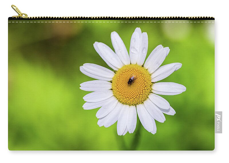 Flowers Zip Pouch featuring the photograph Flowers and Insects - Nature Photography by Amelia Pearn