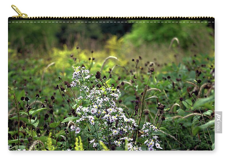 Flowers Carry-all Pouch featuring the photograph Flowers at the End of Summer by Christopher Reed