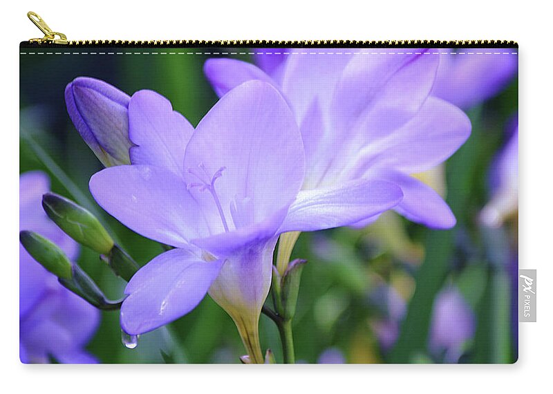Freesia Zip Pouch featuring the photograph Flowers of SoCal - Freesia and Dew Drop by Gaby Ethington
