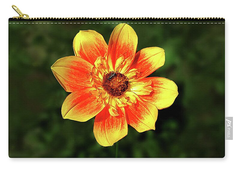 Photography Zip Pouch featuring the mixed media Flowers Photography-29 by Art By Lakshmi
