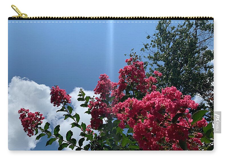 Flower Zip Pouch featuring the photograph Flowers Pierced By The Sun by Lee Darnell