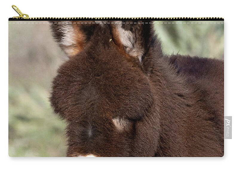 Wild Burros Zip Pouch featuring the photograph Fluffy Chocolate by Mary Hone