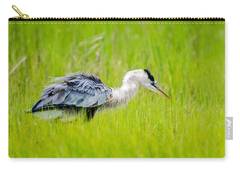 Blue Heron Zip Pouch featuring the photograph Flustered Heron by Wild Fotos