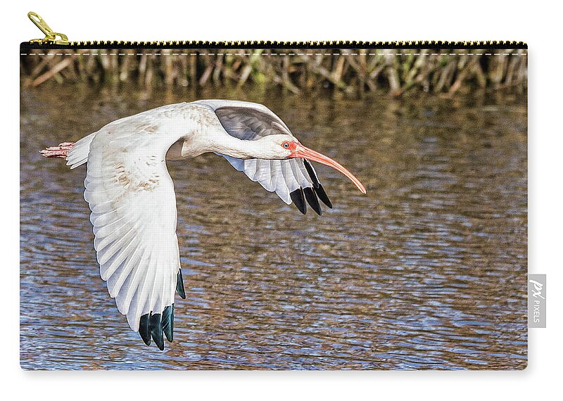 Ibus Zip Pouch featuring the photograph Flying Ibus by Joe Granita