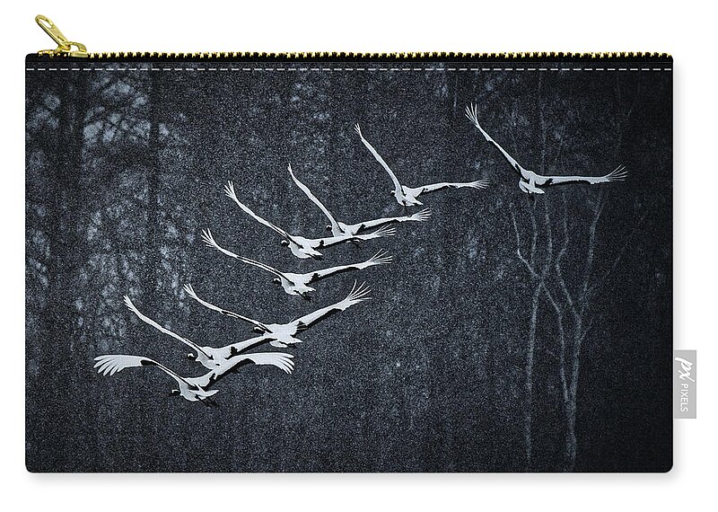 Japan Zip Pouch featuring the photograph Flying Japanese Cranes in the Snow by Stuart Litoff