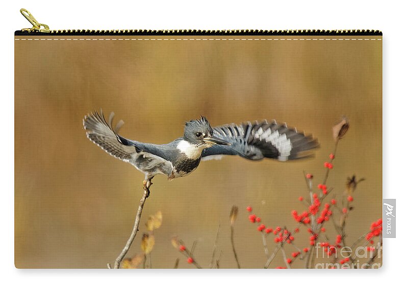 Bird Zip Pouch featuring the photograph Flying Kingfisher at Crex by Natural Focal Point Photography