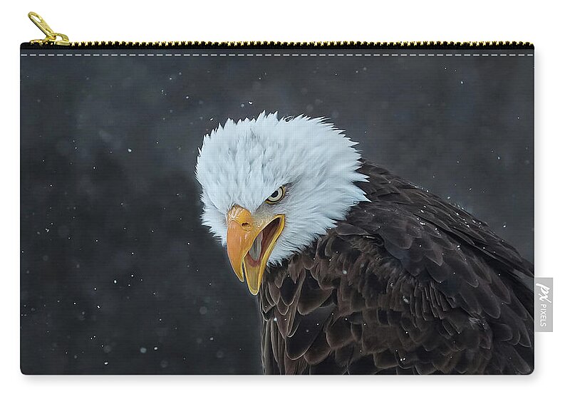 Focused Zip Pouch featuring the photograph Focused by CR Courson