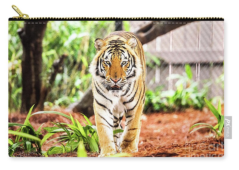 Mike Zip Pouch featuring the photograph Focused on the Championship by Scott Pellegrin