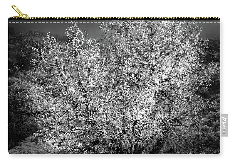 Hoar Frost Zip Pouch featuring the photograph Foggy Frost by Doug Sturgess