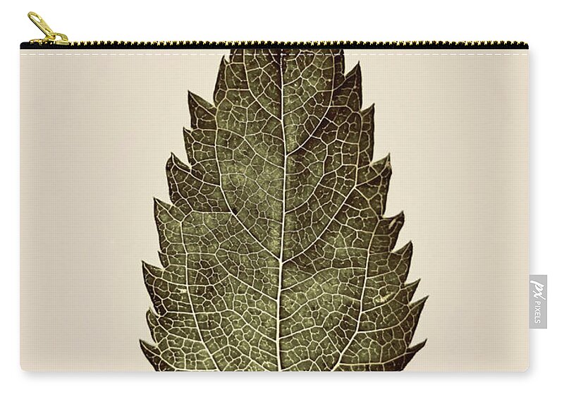 Leaf Zip Pouch featuring the photograph Folium by Maz Ghani