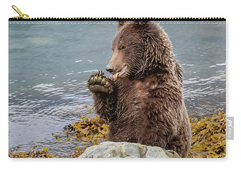 Brown Bear Zip Pouch featuring the photograph Foraging Brown Bear by Jurgen Lorenzen