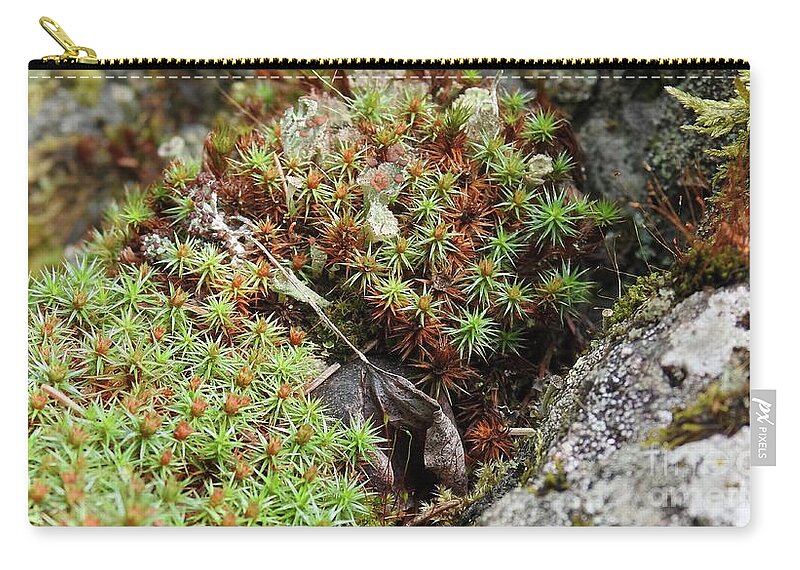 Lichen Zip Pouch featuring the photograph Forest beauty by Nicola Finch