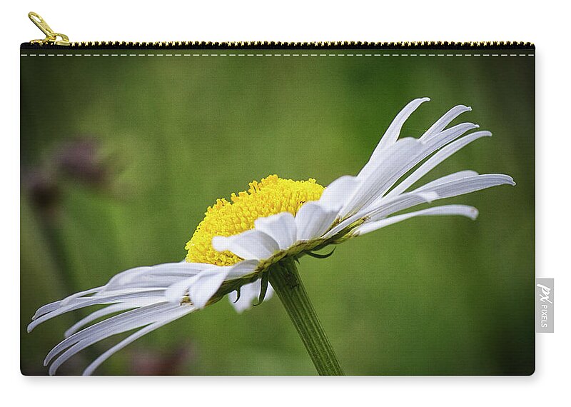 Daisy Zip Pouch featuring the photograph Forest Daisy by Bob Decker