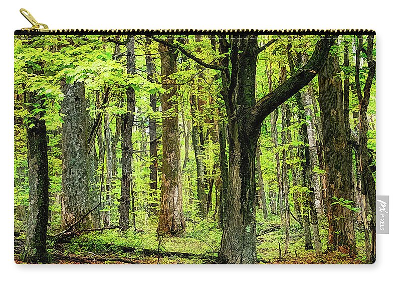 Mountains Zip Pouch featuring the photograph Forest Floor Spring Trees fx 503 by Dan Carmichael