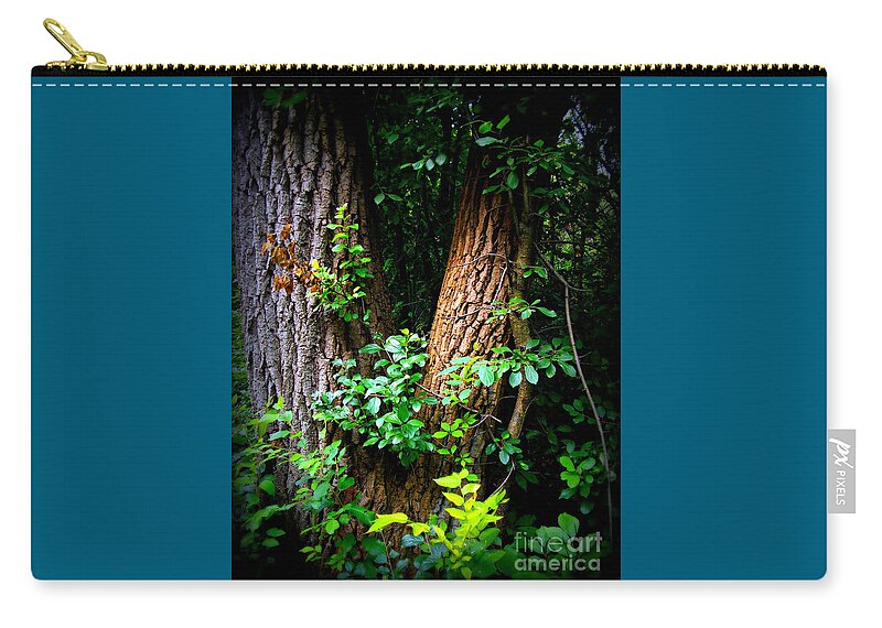Landscape Zip Pouch featuring the photograph Forest Wood - Color - Frank J Casella by Frank J Casella