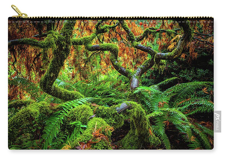 5dsr Zip Pouch featuring the photograph Forever Green by Edgars Erglis