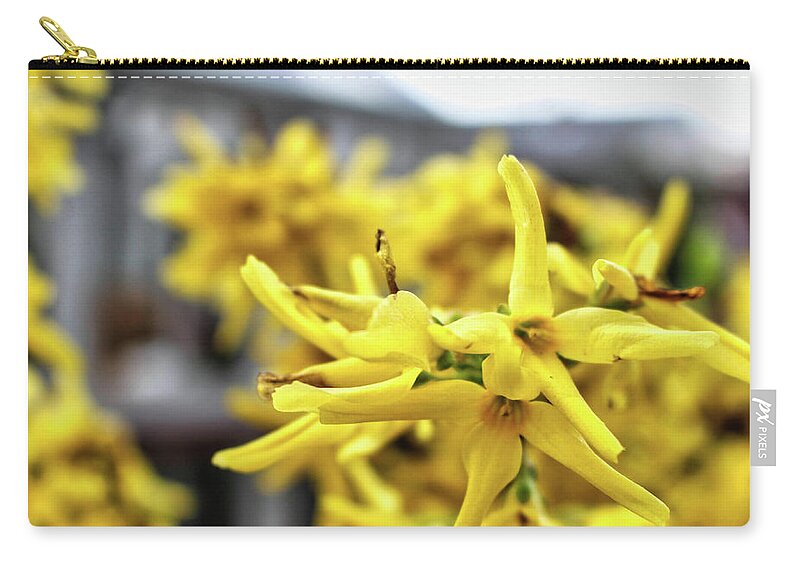 Forsythia Zip Pouch featuring the photograph Forsythia Detail - Spring 2022 by Christopher Lotito