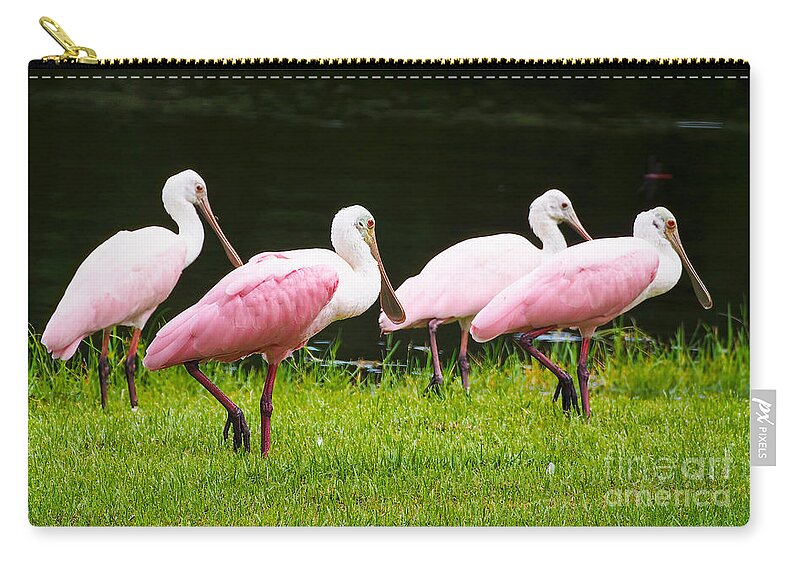 Roseate Spoonbill Zip Pouch featuring the photograph Four Roseate spoonbills by L Bosco