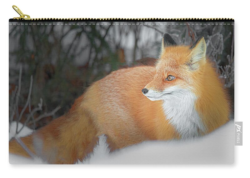 (vulpes Vulpes) Zip Pouch featuring the photograph Fox in the Woods by James Capo