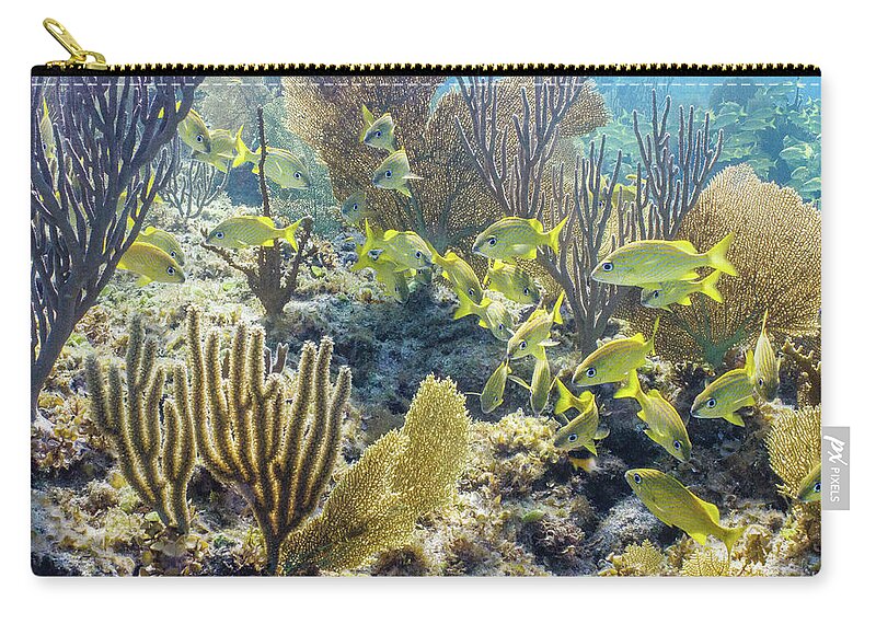 Animals Zip Pouch featuring the photograph French Class by Lynne Browne