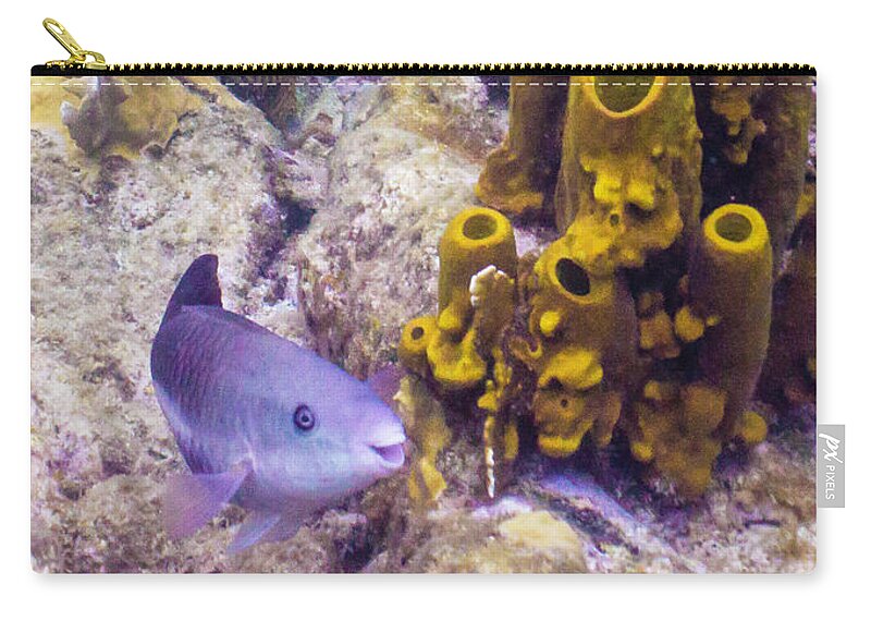 Ocean Carry-all Pouch featuring the photograph Friendly Queen by Lynne Browne