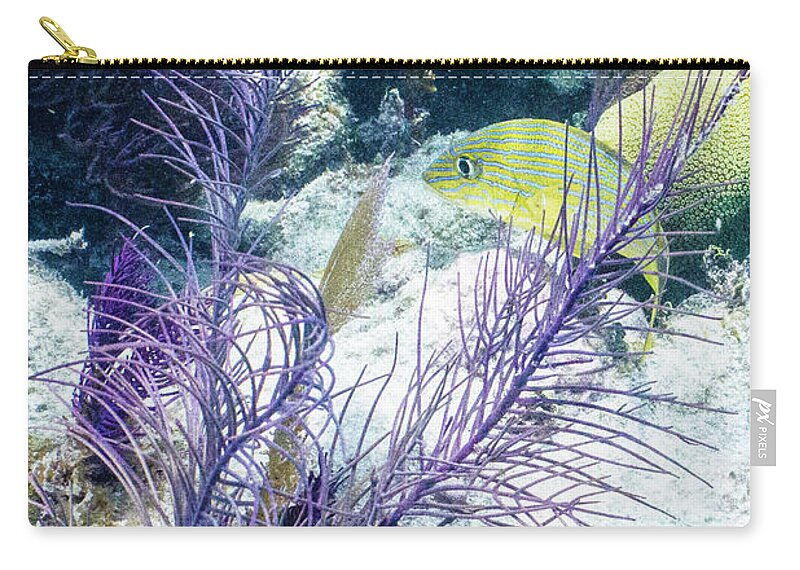 Animals Carry-all Pouch featuring the photograph Frilly by Lynne Browne
