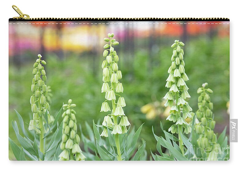 Fritillaria Persica Ivory Bells Zip Pouch featuring the photograph Fritillaria Persica Ivory Bells Flower by Tim Gainey