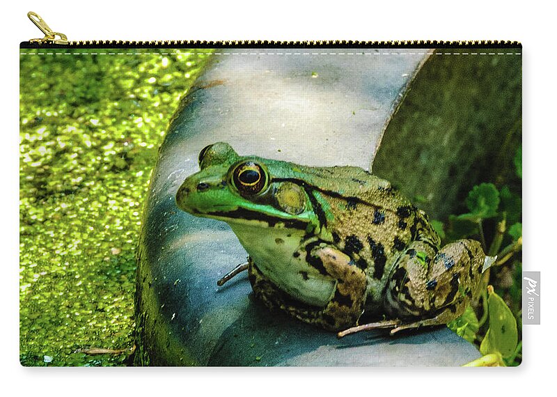 Animals Zip Pouch featuring the photograph Frog Hollow by Louis Dallara