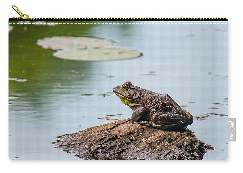 Bullfrog Zip Pouch featuring the photograph Frog Island by Cathy Kovarik