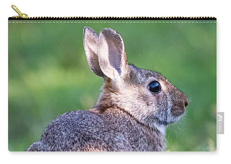 Rabbit Zip Pouch featuring the photograph From Head to Tail by Linda Bonaccorsi