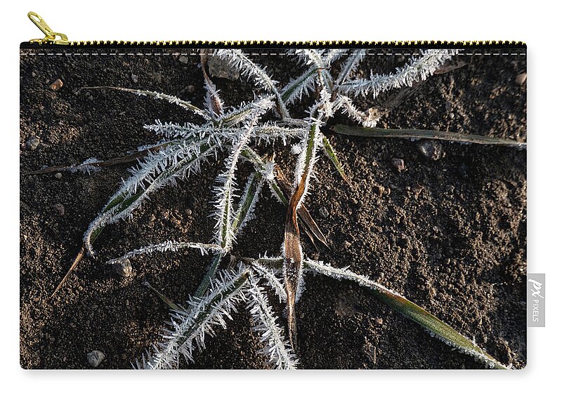 Frost Carry-all Pouch featuring the photograph Frost On Crabgrass by Karen Rispin
