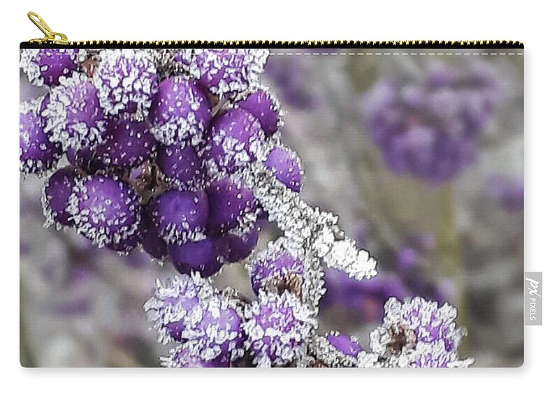 Beautyberry Zip Pouch featuring the photograph Frosted Beautyberry by Nina Ficur Feenan
