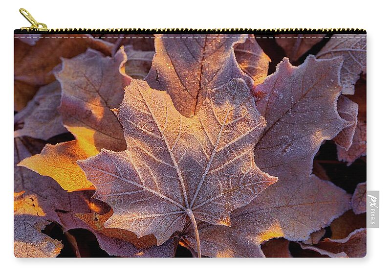 Frosted Leaves Zip Pouch featuring the photograph Frosted Leaves by Lynn Hopwood