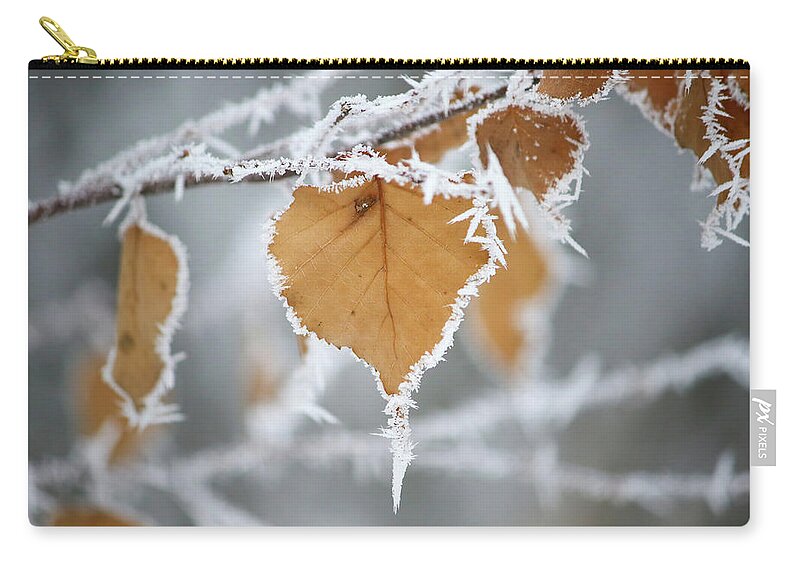 Frosty Birch Leaf Zip Pouch featuring the photograph Frosty Birch Leaf by Brook Burling