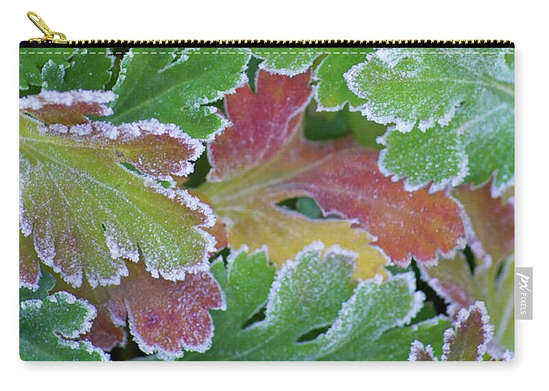 Autumn Leaves Zip Pouch featuring the photograph Frosted Foliage by Kathi Mirto