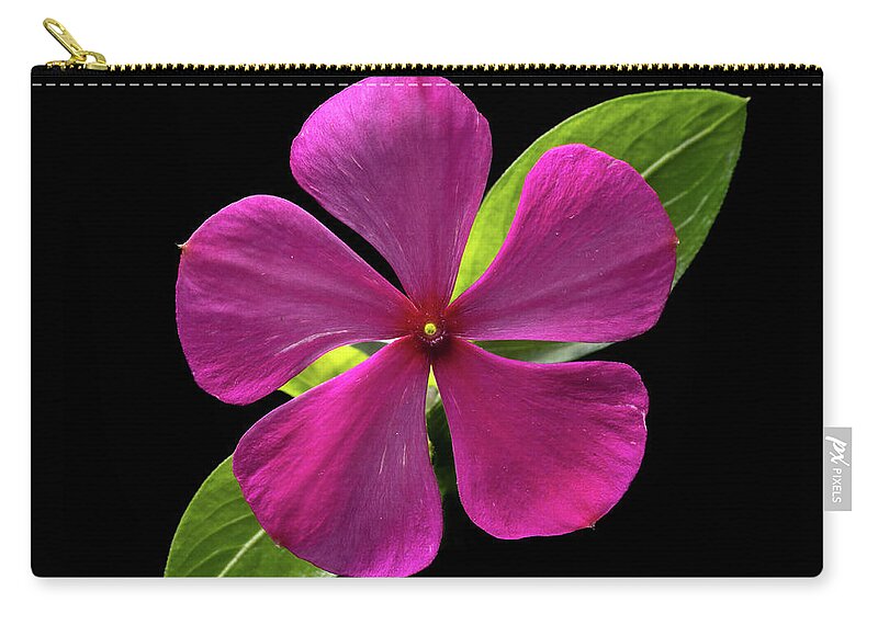 Fuchsia Carry-all Pouch featuring the photograph Fuchsia and Green on Black by Kevin Suttlehan