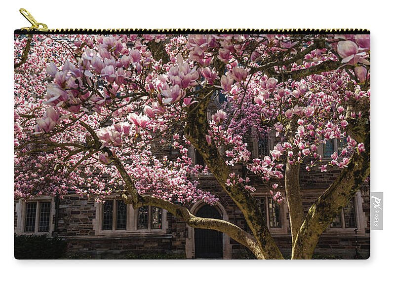 Cherry Blossoms Zip Pouch featuring the photograph Full Bloom by Kristopher Schoenleber
