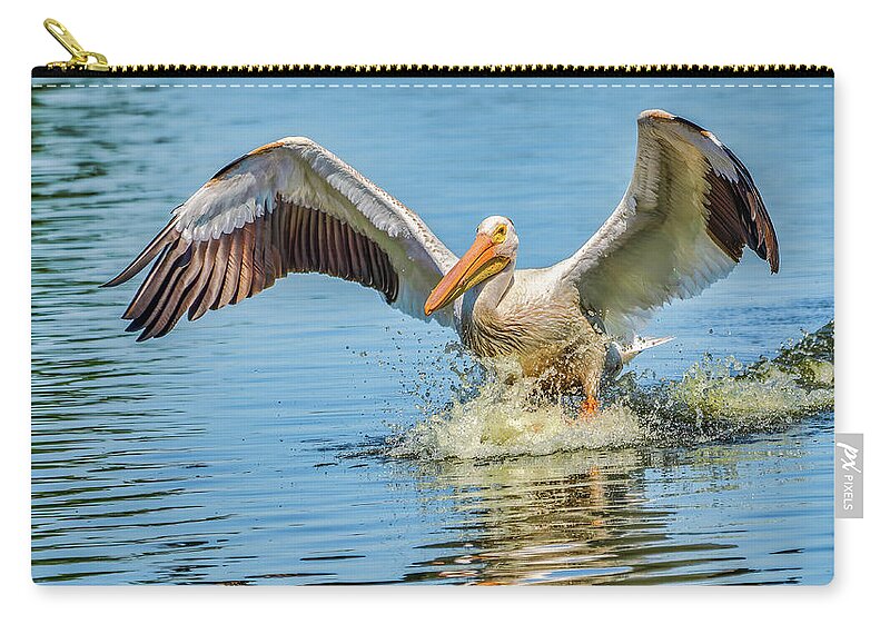 Pelican Zip Pouch featuring the photograph Full Flaps by Brad Bellisle