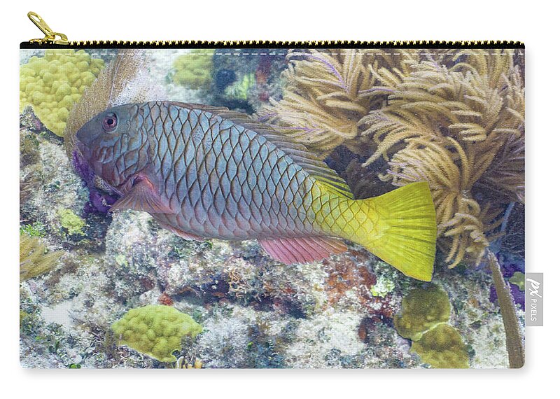 Fish Carry-all Pouch featuring the photograph Fully Armored by Lynne Browne