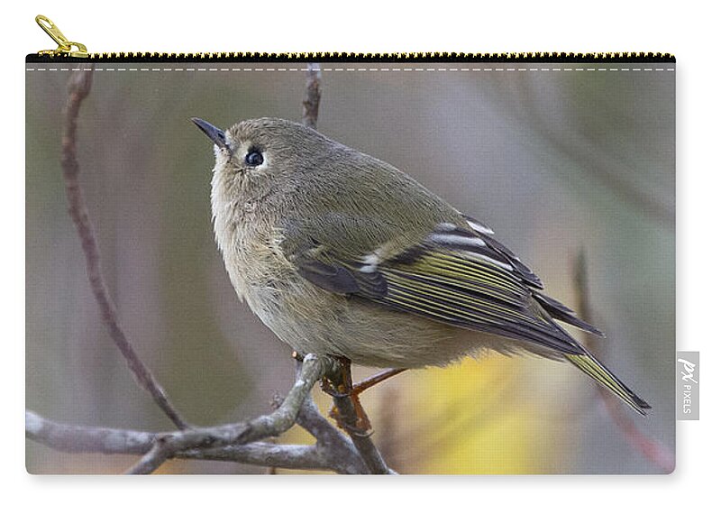 Bird Carry-all Pouch featuring the photograph Future Birder by Linda Bonaccorsi